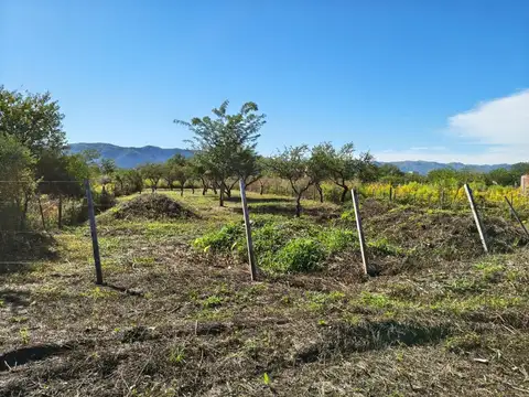 TERRENO 900MTS A 3 CUADRAS DEL LAGO LOS ESPINILLOS