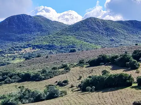 Chacra en Venta entre Ruta 12 y Ruta 60