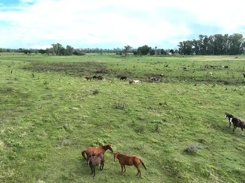 Campo en Venta Mixto