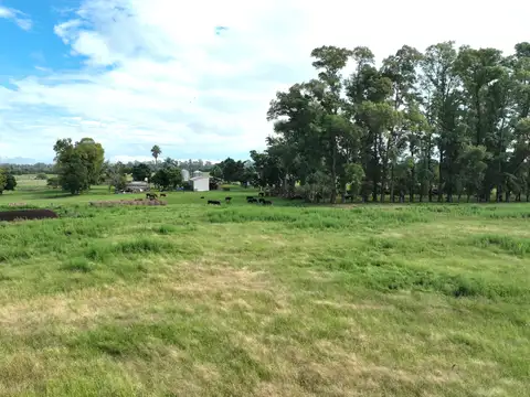 230 Has. Campo mixto en venta en Los Cardales