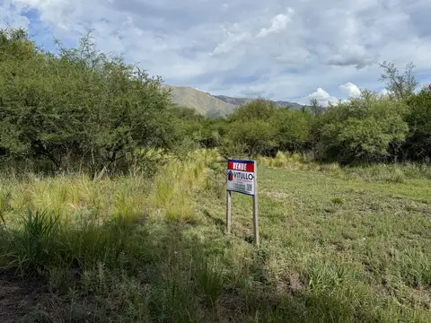 Terreno en Venta en Cruz De Caña, USD 15.000