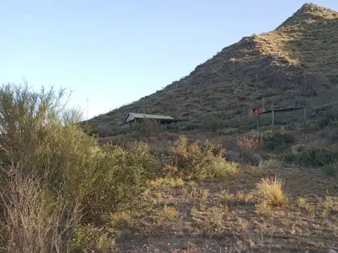 La Quebrada 100