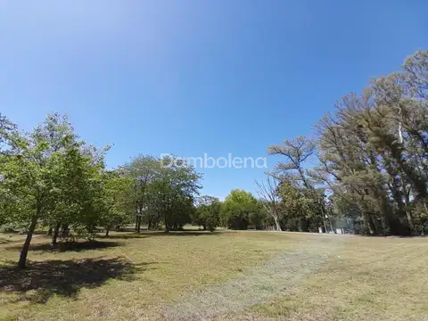 Ruta Provincia N° 6 Km 155 100