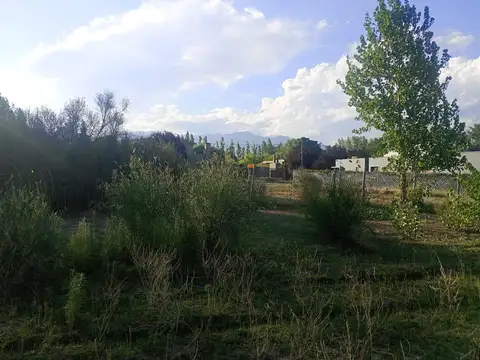 Terreno en Venta de 36117,0 m2