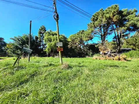 La Carabela Esquina La Escotilla