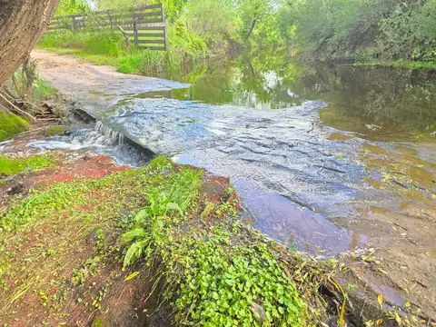 Campo en Venta de 3  ha