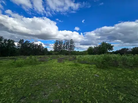 Campo de tres hectáreas en colón, entre ríos