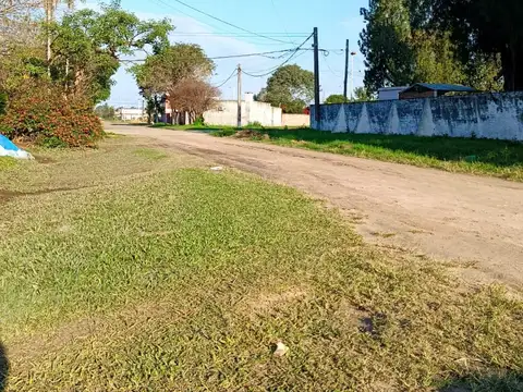 Domingo F. Sarmiento 300