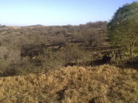 Terreno en Venta de 601,0 m2