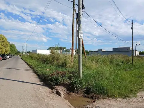 31 y 497
