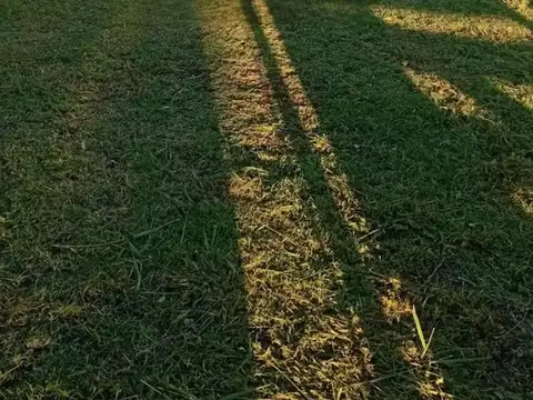 Terreno en Venta en Villa Amelia, USD 20.000