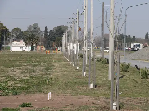 Venta Terreno  alambrado y con portón de 300m2 Eco Vida, Villa Amelia