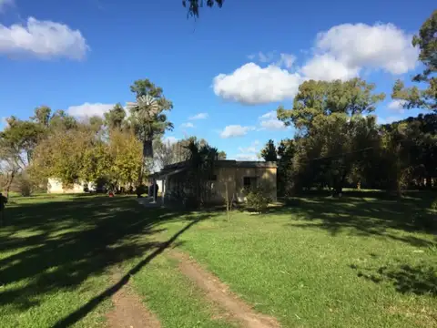 Granja de pollos habilitada sobre campo de 6 hectáreas