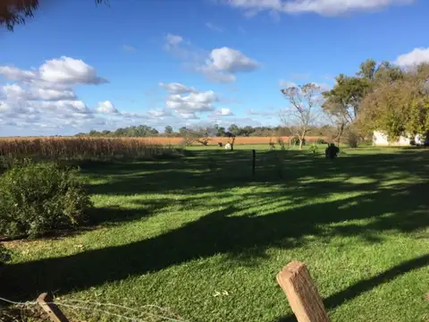 Granja de pollos habilitada sobre campo de 6 hectáreas