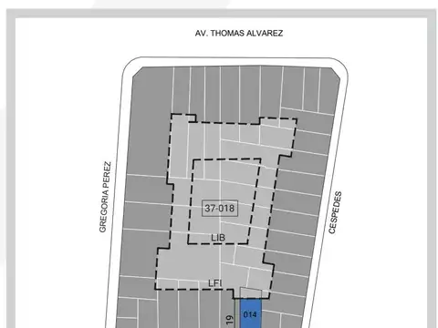 Terreno en Venta en Chacarita, USD 350.000
