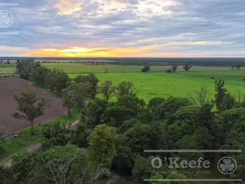 Campo en venta de 31000 Has en Santa Fe. Ganaderas/Agrícolas