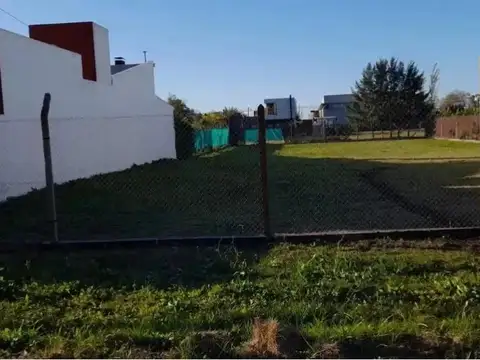 135 Y 482