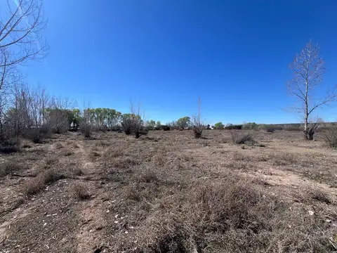 Venta de terreno de 5 hectarias y media en Tunuyan