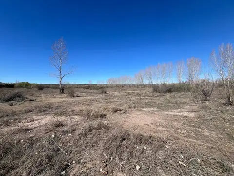 Terreno en Venta de 54000,0 m2