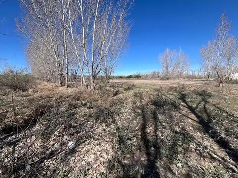 Terreno en Venta en Tunuyan, USD 350.000