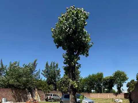 Lote en Venta en 9 de Abril - Esteban Echeverria