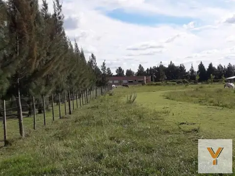 Terreno en Venta de 4185,0 m2