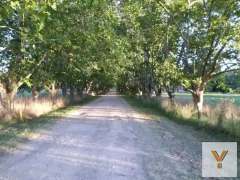 Terreno en Venta en Coronel Brandsen, USD 42.000