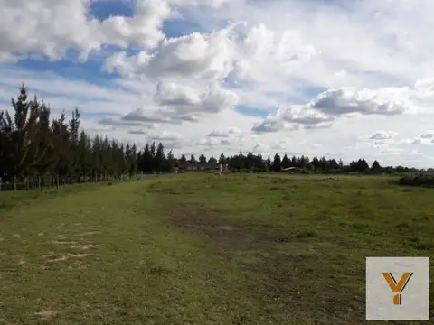 Terreno en Venta en Coronel Brandsen, USD 42.000