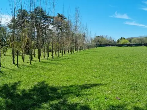 Terreno venta  4185.53mts2 totales  - Estancia Las Malvinas