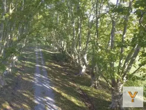 Estancia Las Malvinas - Barrio de Chacras