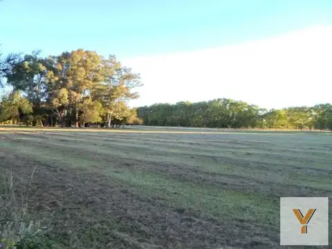 Estancia Las Malvinas - Barrio de Chacras