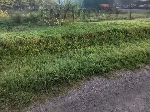 Los Plátanos e/ Los Tilos y Liquidambar , Piso 0