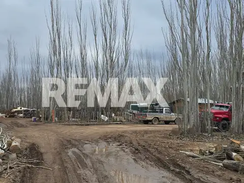 CHACRA 24.800 M2 EN CIRCUNVALACIÓN Y SAN LUIS