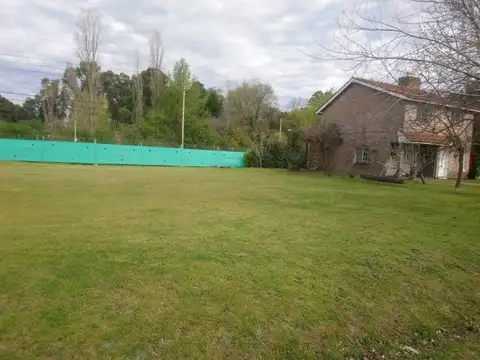 Pedro Carrión 400