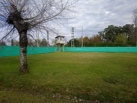 Pedro Carrión 400