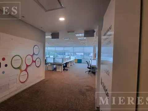 Excelente oficinas en alquiler de 500 m2 - Lumina Thames - San isidro