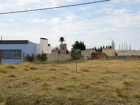 Terreno en Venta en Trenque Lauquen, Partido de Trenque Lauquen