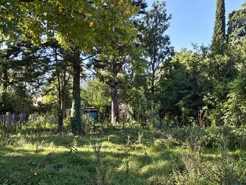 Terreno de 750m2 en venta calle Buenos Aires 342, La Bota