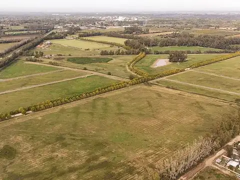 Terreno en Venta de 1250,0 m2