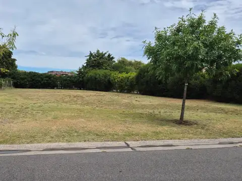 Aristobulo del Valle al 5100