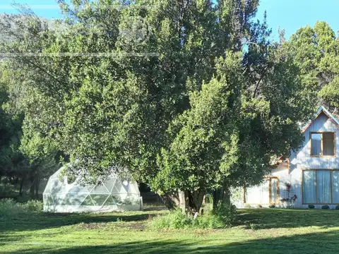 Campo en venta 300 has Cuesta del Ternero, Rio Negro.