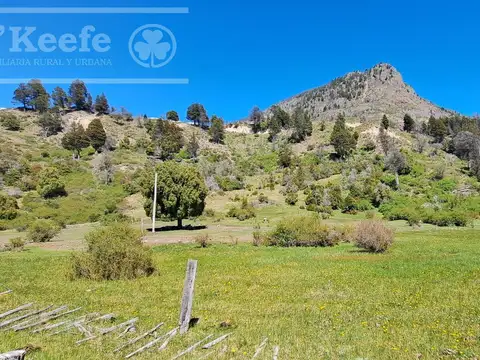 Campo en venta 300 has Cuesta del Ternero, Rio Negro.