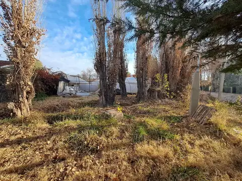 Terreno en Venta en Chacras de Coria, USD 39.000