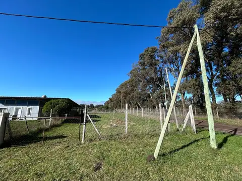 El Chingolo 1300