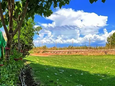 VENTA CASA QUINTA, QUINCHO, PISCINA, GRAN LOTE!