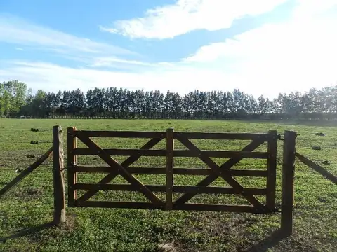 Chacras Barrancas de Baradero