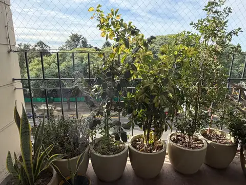 Departamento en Alquiler de 4 ambientes