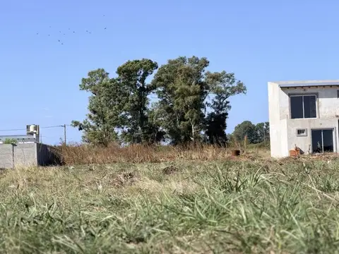 Terreno en Venta de 1615,0 m2