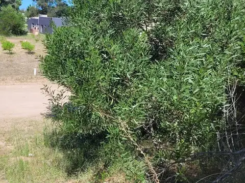 Terreno en Venta en Barrio Senderos 3, USD 40.000