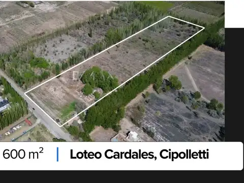 Terreno en Venta en Cipolletti, General Roca